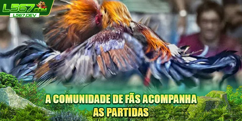A comunidade de fãs acompanha as partidas