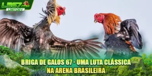 Briga de Galos 67 - Uma Luta Clássica Na Arena Brasileira