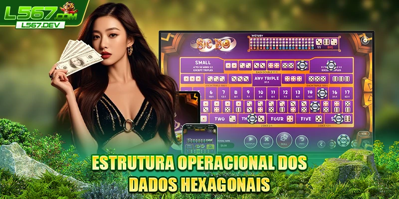 Estrutura operacional dos dados hexagonais Estrutura operacional dos dados hexagonais