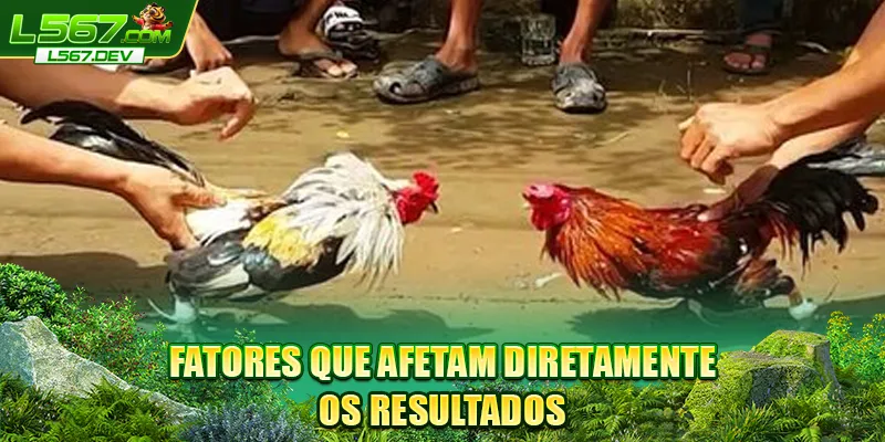 Fatores que afetam diretamente os resultados